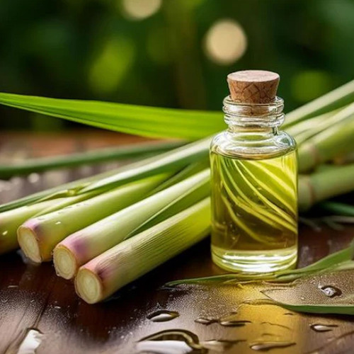 largest lemon grass oil exporter in Ranchi